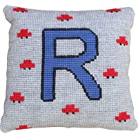 Kit de bordado para cojín personalizado | Cañamazo pintado a mano de 40cm x 40 cm con la letra y el motivo escogido…